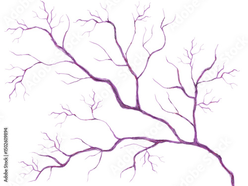 血管　 毛細血管 　静脈	
