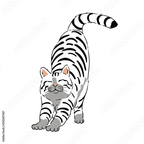 black and white striped cat vector