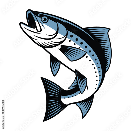 Leaping Salmon Vector Art & Illustration