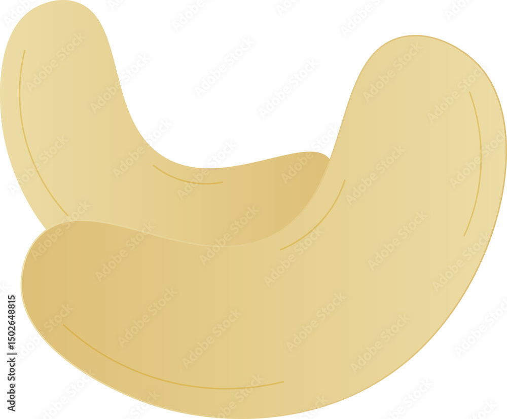 cashew nuts cashew nuts
