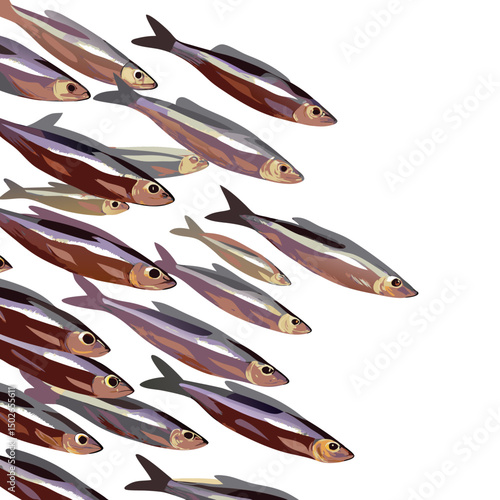 Minimalist line art of a school of sardines swimming together in perfect synchronized motion, ideal for modern, clean, and nature-inspired designs.