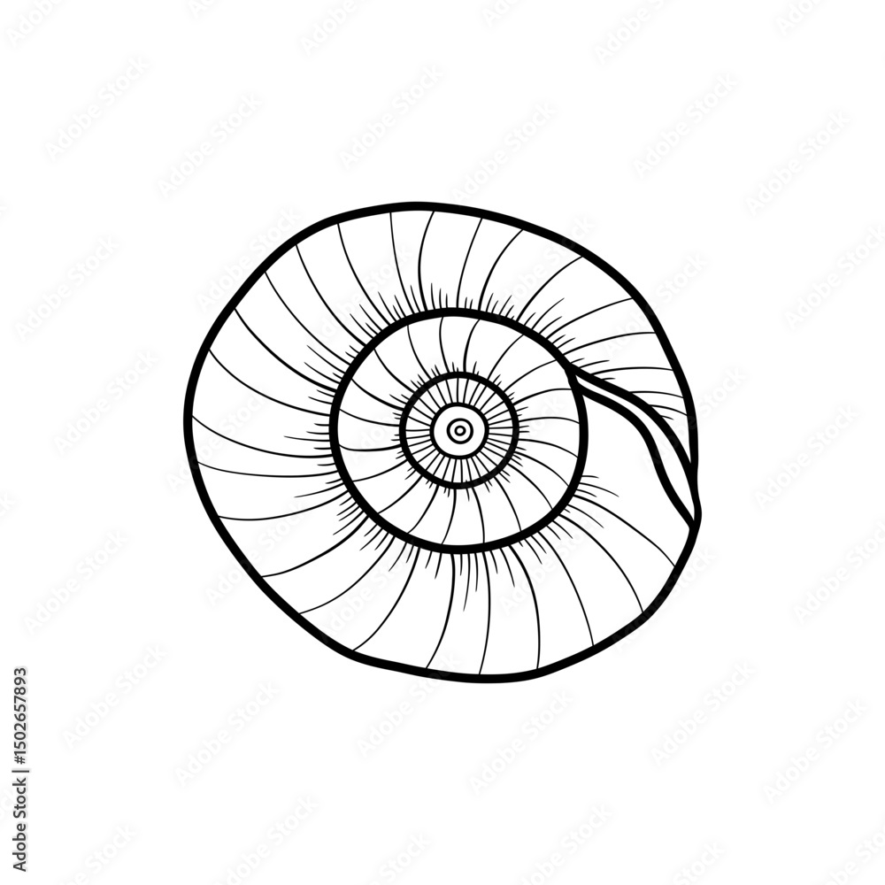 Obraz premium Spiral Seashell Icon