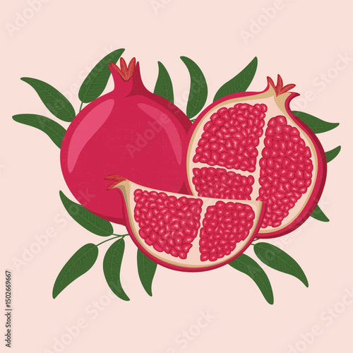 Pomegranate fruit artwork. Fresh food artwork for for t shirt. . Summer Organic food poster design. Fresh pomegranate fruit print.	