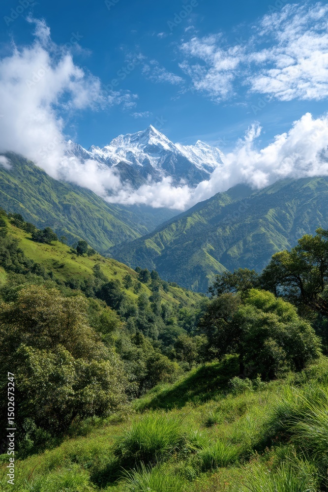 Magnificent Scenery of Snowy Mountains and Green Valleys Magnificent Scenery of Snowy Mountains and Green Valleys
