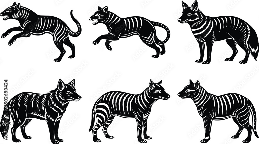 Obraz premium Tasmanian Tiger Silhouettes: Thylacine Extinct Animal Vector Art Illustration, Black and White Graphics, Wildlife Icon Set, Australian Fauna 
