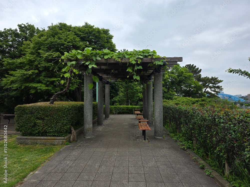 Fototapeta premium Japanese Park