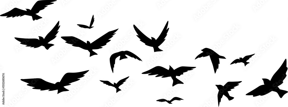 Flying Birds Silhouette Flying Birds Silhouette