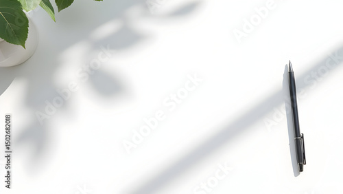 Black Pen on White Desk with Plant Shadow

