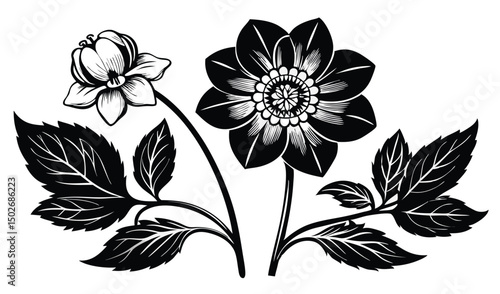 Elegant hellebore and scabious floral design with nodding blooms