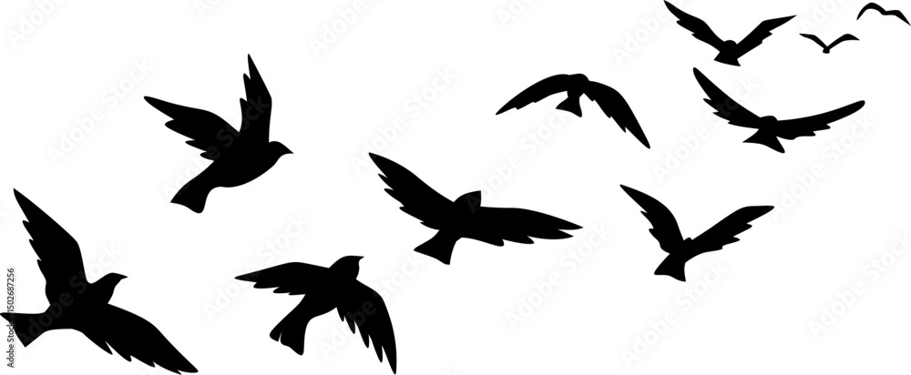 Fototapeta premium Flying Birds Silhouette