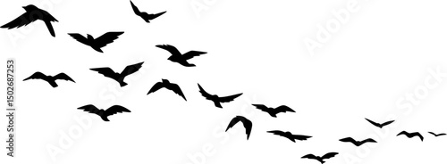Flying Birds Silhouette