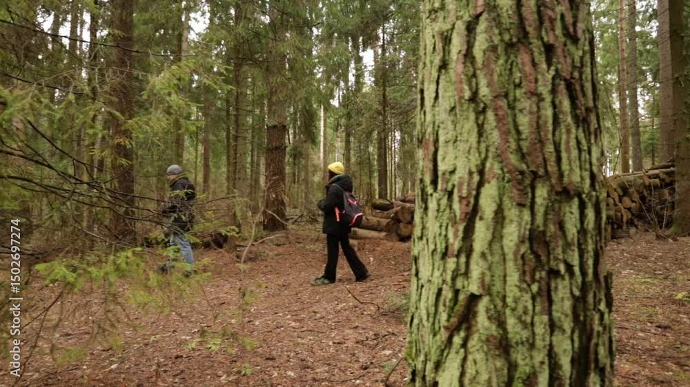 couple strolling through a forest clearing during cold weather, visually emphasizing connection to nature, relaxation, and outdoor mindfulness. couple strolling through a forest clearing during cold weather, visually emphasizing connection to nature, relaxation, and outdoor mindfulness.