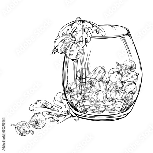 Gooseberry Currant berries leaves in glass hand drawn in vector ink, ripe picked harvest, lingonberry huckleberry juneberry. Isolated illustration. Restaurant menu, cookbook, farmers market grocery