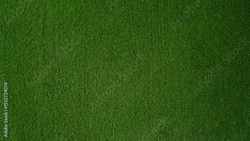 Green grass background, top view background of garden bright grass concept.