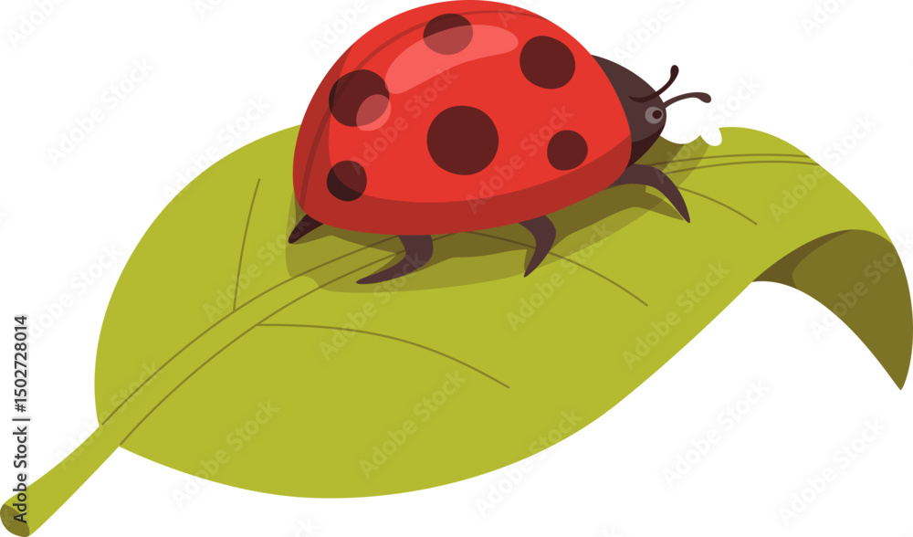 Fototapeta premium Ladybug Cartoon Illustration