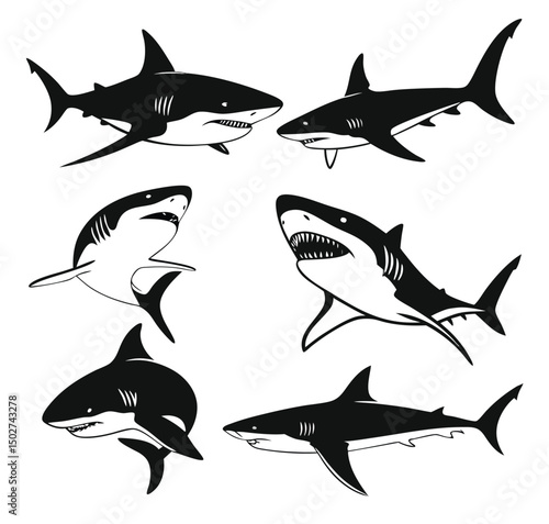Shark vector silhouettes set. Monochrome illustration of stylized shark. isolated on white background