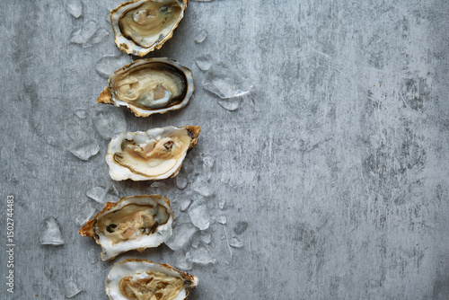 Billede på lærred open fresh oysters stacked in a row