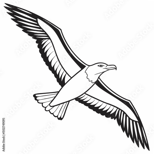 vector illustration of a flying bird