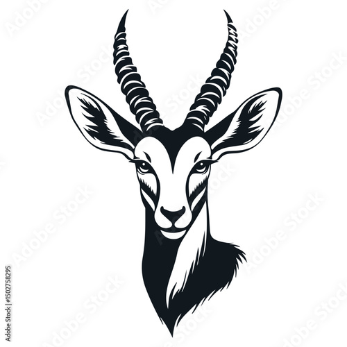 gazelle, animal, vector, transparent background, wildlife, mammal, nature, cute, antelope, zoo, isolated, farm, herbivore, springbok