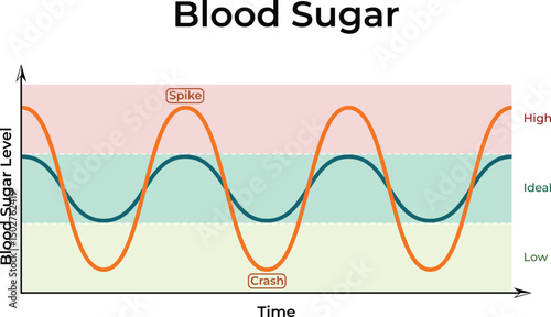 Blood Sugar Levels: A Visual Representation Design Vector Illustration