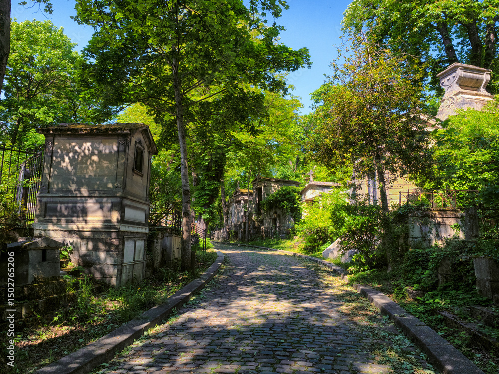 Obraz premium Friedhof