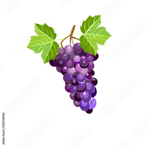 bunch of red grapes