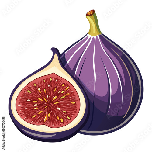 A fig clipart on white background