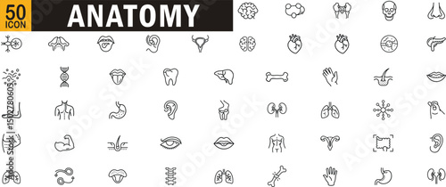 Anatomy editable outline icon set. Organs, body parts, systems, human biology, and medical elements.

