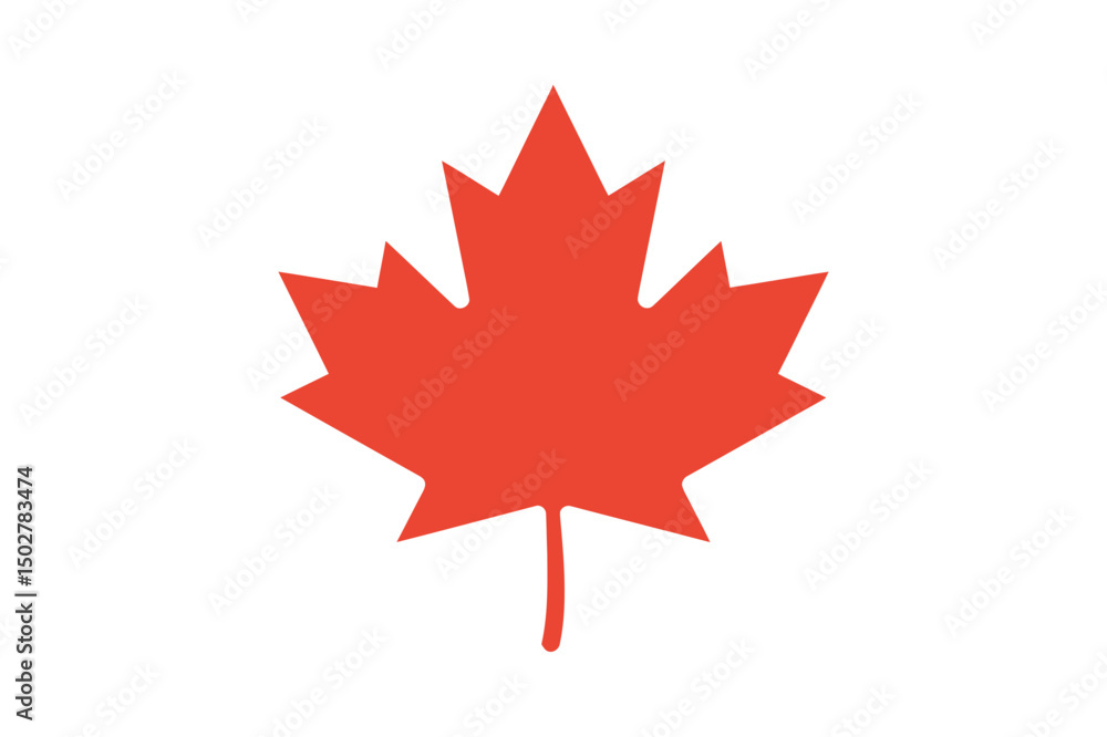 Red canada maple leaf vector illustration graphic Red canada maple leaf vector illustration graphic