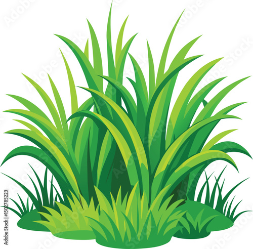 green grass vector illustration