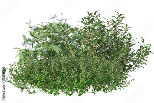 Obraz na plátně Landscaping group of flowers and shrubs, isolated garden bushes on transparent b