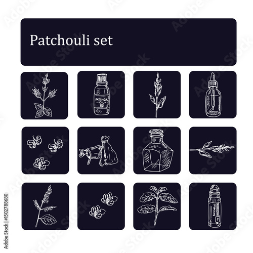 Wallpaper Mural Patchouli hand drawn set Vector isolated objects Torontodigital.ca