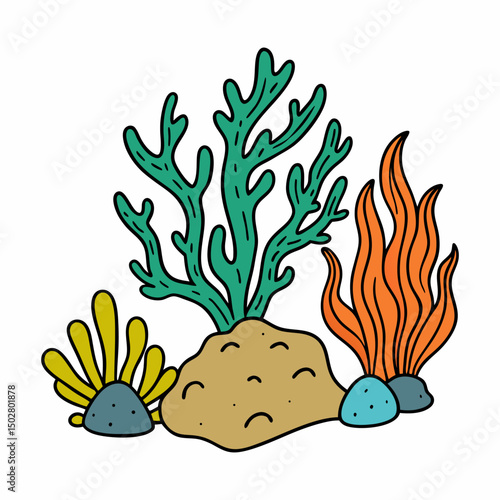 seaweeds stones corals vector illustration	