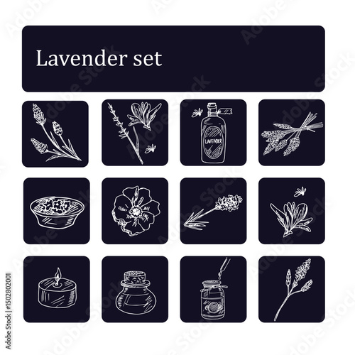 Wallpaper Mural Lavender hand drawn doodle set. Vector illustration. Isolated elements on white background. Symbol collection. Torontodigital.ca