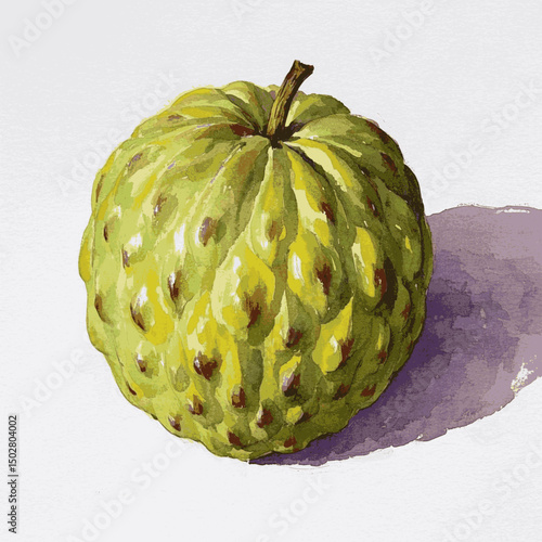 Sweet Pulp Serenade cherimoya isolated watercolor vector illustration svg
