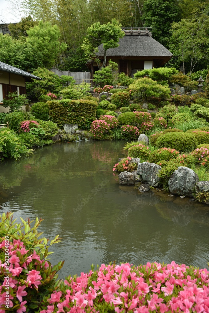 Naklejka premium 春の等持院庭園 芙蓉池と清漣亭(京都市北区)