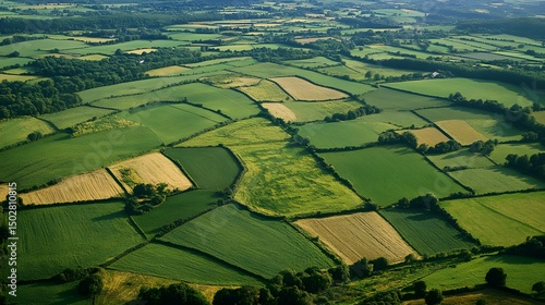 Aerial view of lush green farmland fields