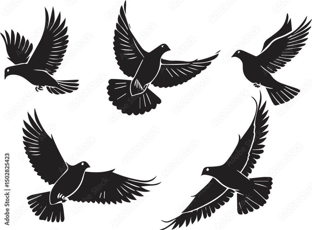 Obraz premium Silhouette of Five Pigeons in Flight
