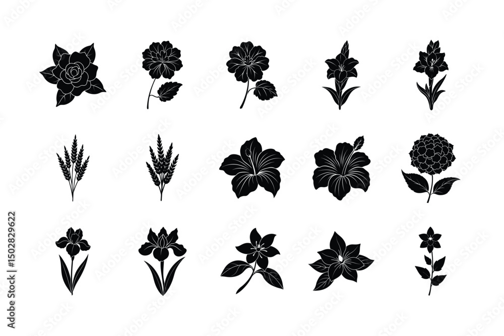 Fototapeta premium set of black and white flowers