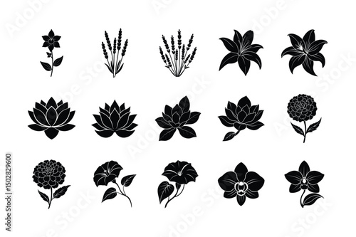 set of black and white flowers