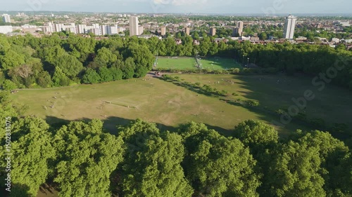 Aerial view of Battersea Park in sunset next to river Thames