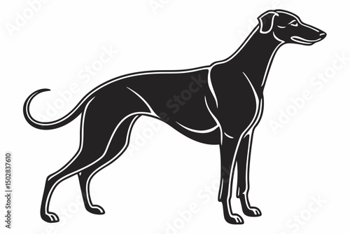 Greyhound Dog Silhouette Standing in Alert Posture on White Background