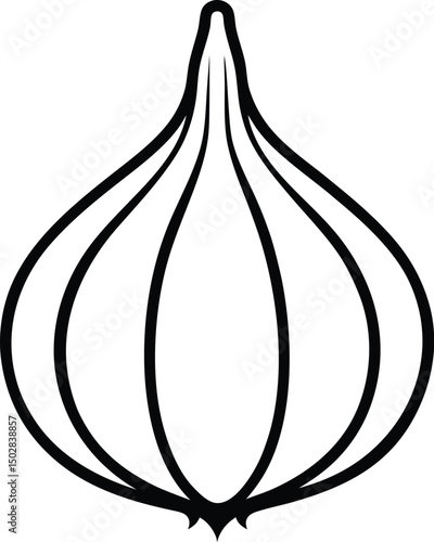 vector illustration of a garlic