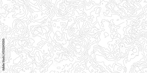 Black and white landscape geographic pattern.Topography and geography map grid abstract backdrop.The stylized height of the topographic map in contour, lines. creative cartography.