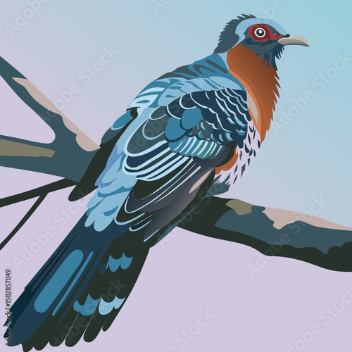 Colorful vector illustration of an African paradise bird with vibrant plumage, ideal for nature-themed designs and digital art projects.