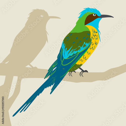 Colorful vector illustration of an African paradise bird with vibrant plumage, ideal for nature-themed designs and digital art projects.