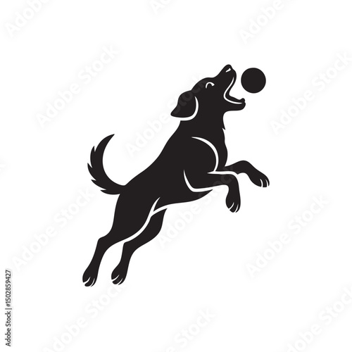 dog catches ball vector