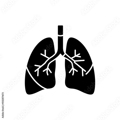 Close-up view of bronchus split inside human lung