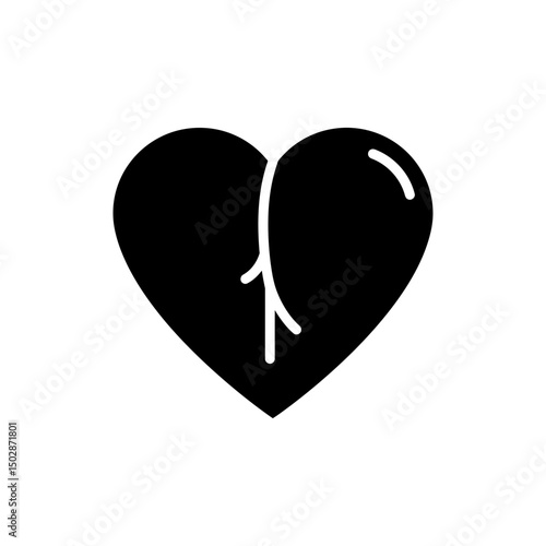 Heart Shape with Visible Left and Right Chambers Anatomy Image