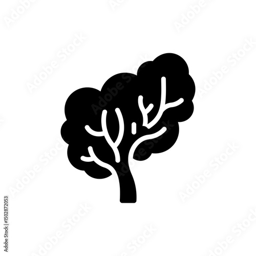 Placenta Tree-Like Structure Detailed Medical Pregnancy Anatomy Image